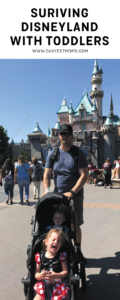 Disneyland with toddlers