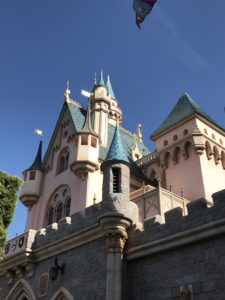 Disneyland Disability Access Pass Experience