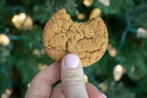 hand holding a molasses cookies with a bite taken out