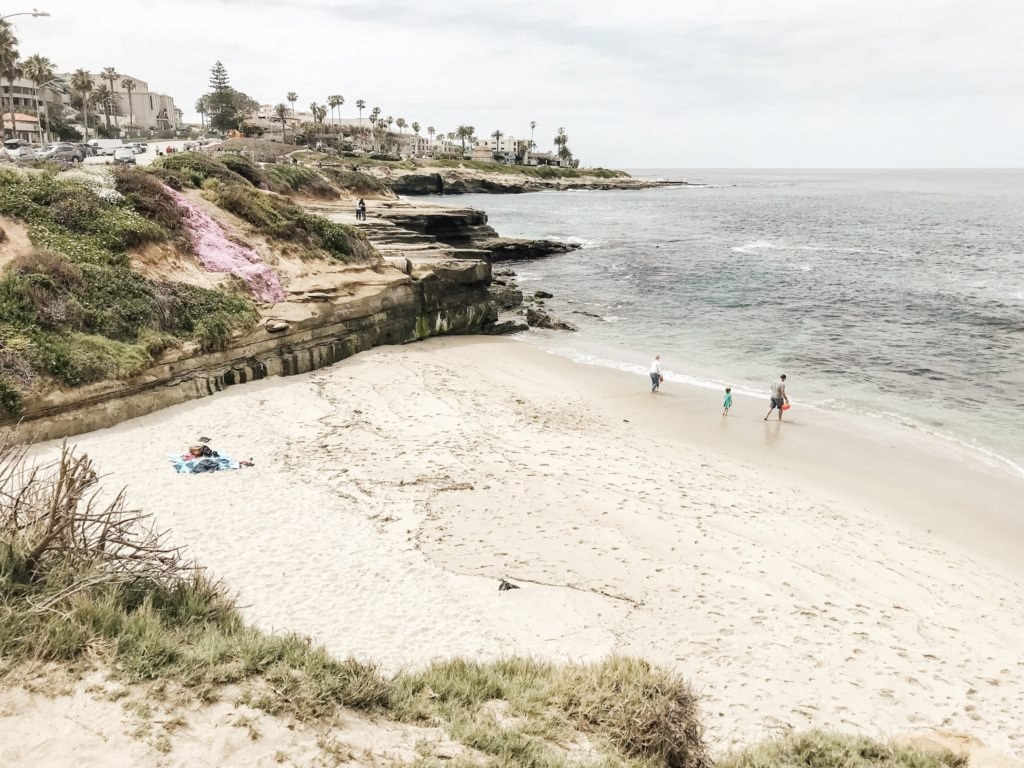 View from the top of La Jolla Children's Pool