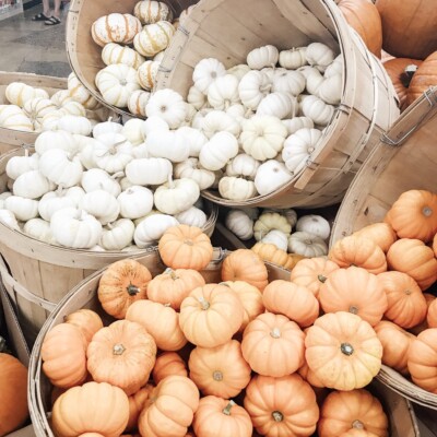 mini white and orange pumpkins
