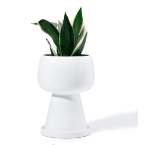 contemporary pot for plant