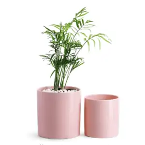 plant pot set